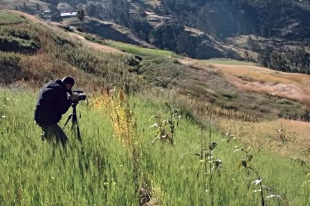 39b28eef-896f-4ea8-8526-da27b5d12e9d_zpscbe0e9b6