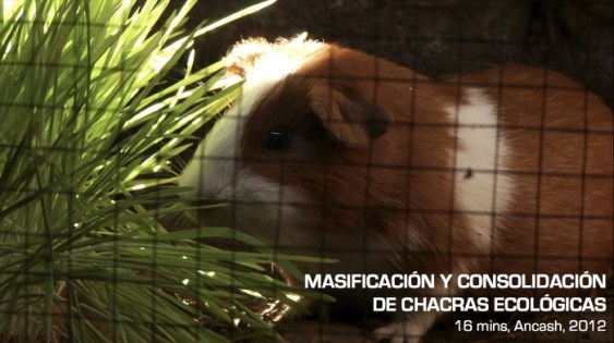 ArtMAPEO-ImagendeMASIFICACION_zps802269b5