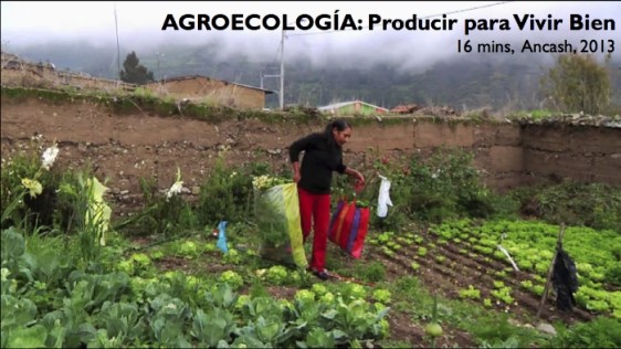 CaraacutetulaAGROECOLOGIacuteA2013_zps1ea1fe5b