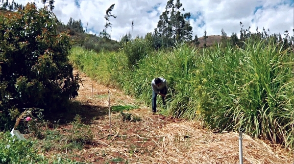 2ac999da-d16c-4525-974f-356bcb446022_zps7211326f