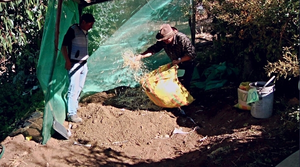 534ca19f-0ec1-4f07-b5d0-c361361e0d09_zps5a3b8a04