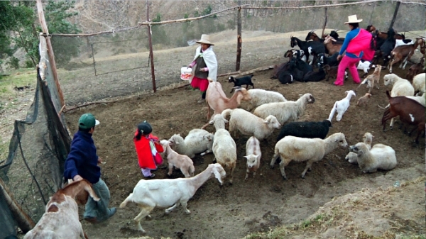 9539ee50-def2-4ccb-9947-a2e05c4a017d_zps114c4d3f