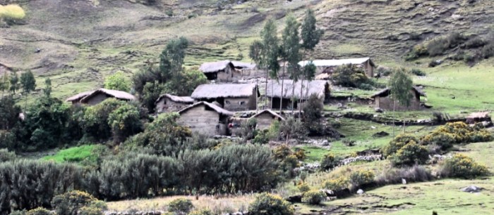 quenual_foresteria_zpsff637648