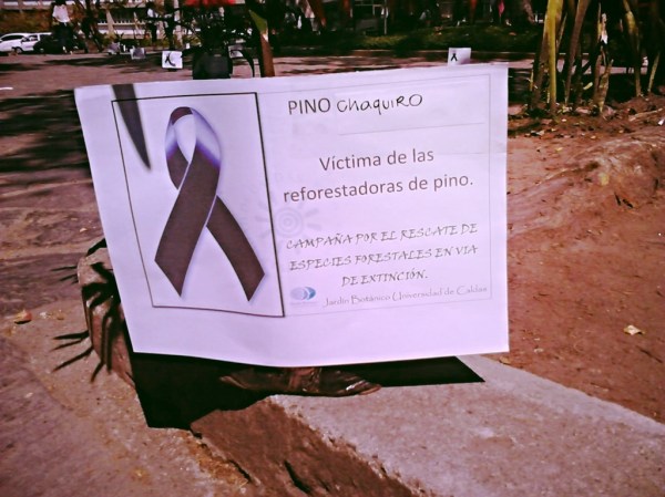 DSC_0154_zps37hrczmw