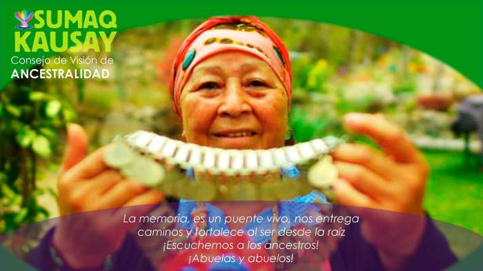 consejo de vision ANCESTRALIDAD