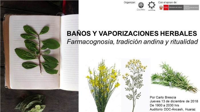 afiche baños herbales V1